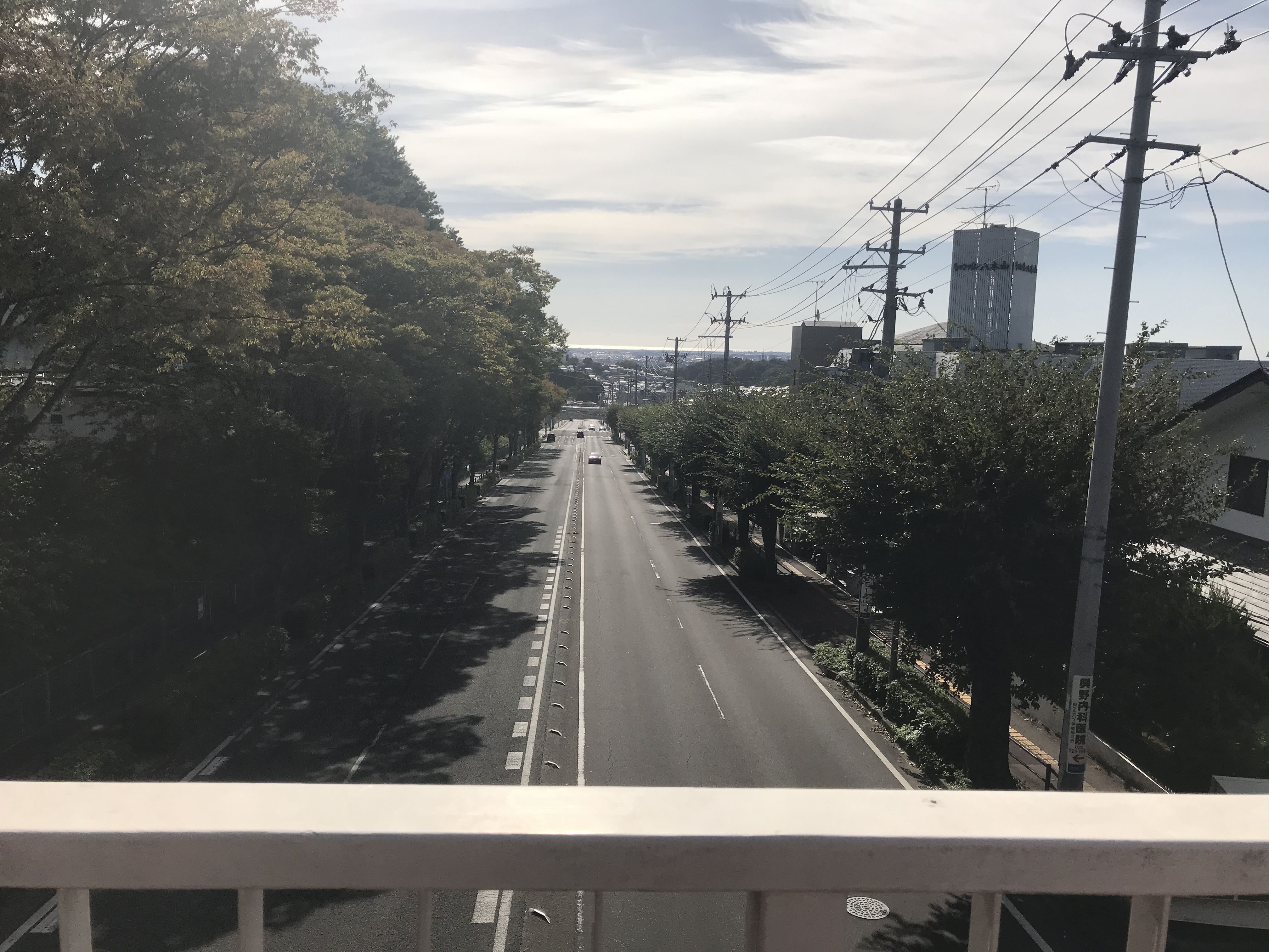 Downhill from the Green House